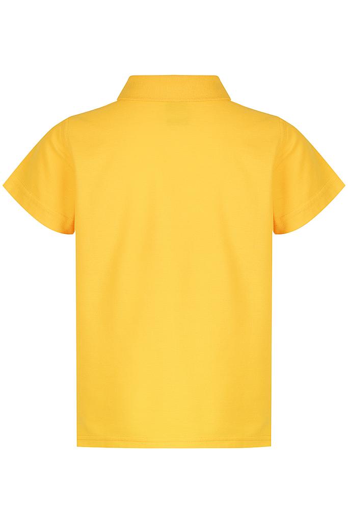 Back - 3312064
