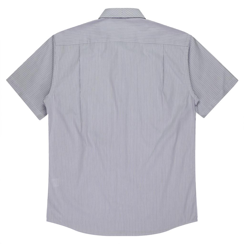 Back - 1906S01191