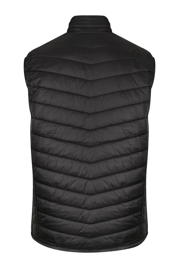Back View - 1523023